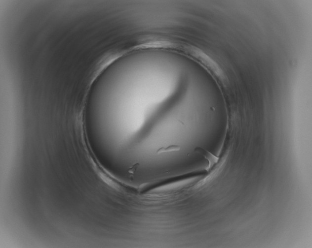 X0000110681425200906191356