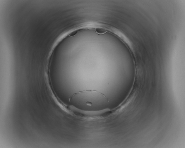 X0000110681429200906191356