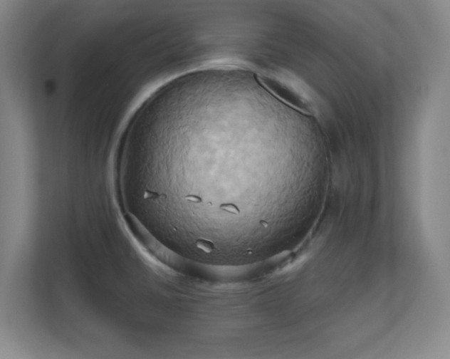 X0000110681430200906191356