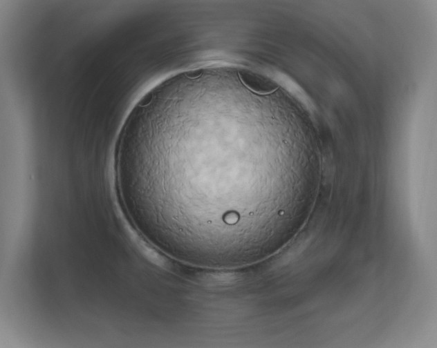 X0000110681431200906191356