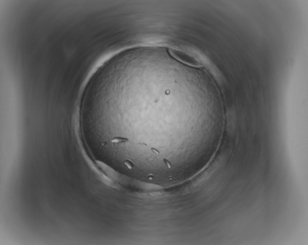X0000110681432200906191356