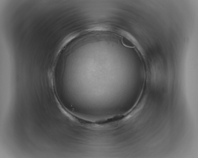 X0000110681433200906191356