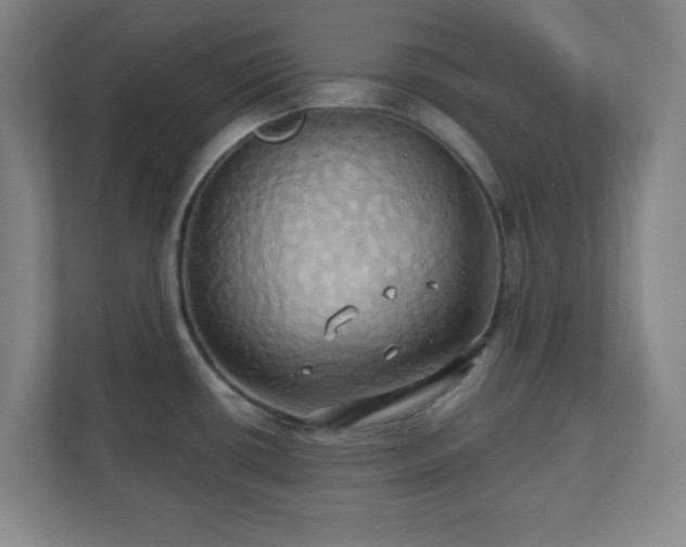 X0000110681434200906191356