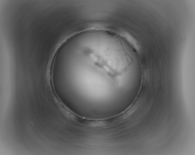 X0000110681435200906191356