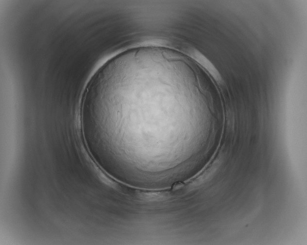 X0000110681436200906191356