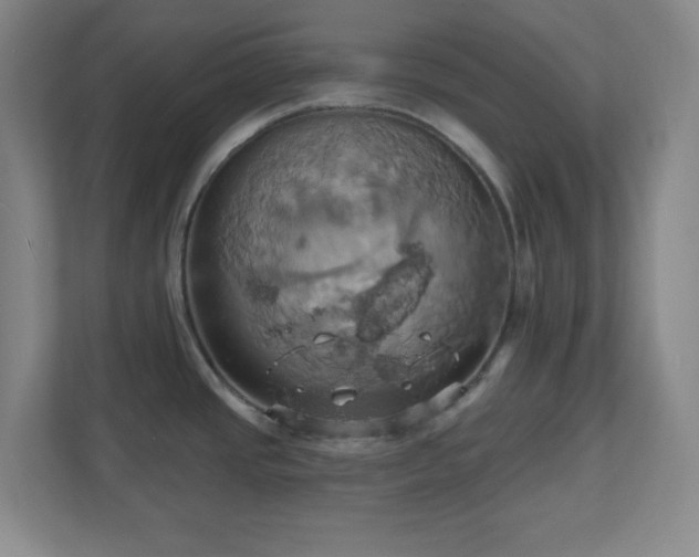 X0000110681437200906191356
