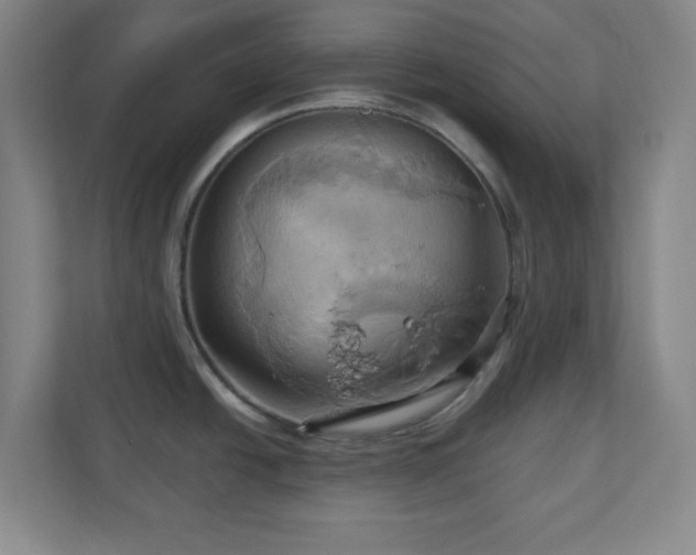 X0000110681438200906191356