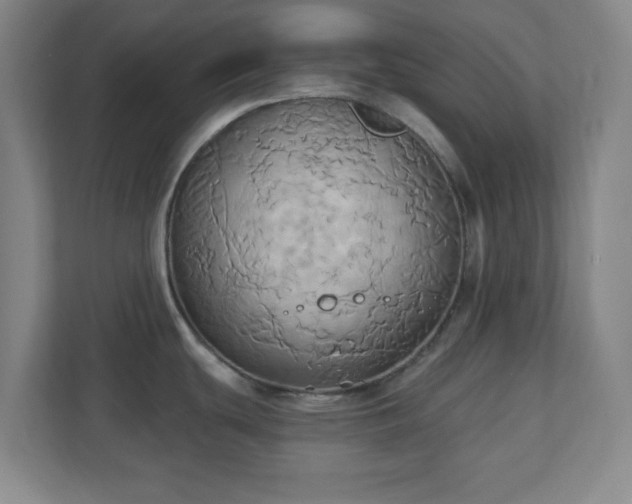 X0000110681439200906191356