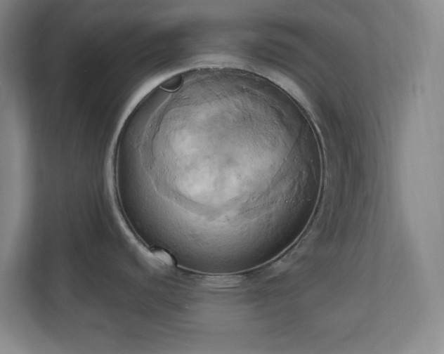 X0000110681440200906191356
