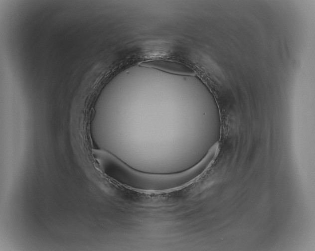X0000110681441200906191355