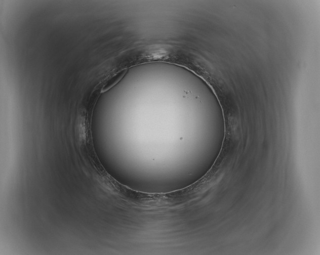 X0000110681442200906191355