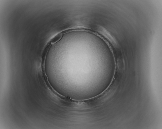 X0000110681452200906191355
