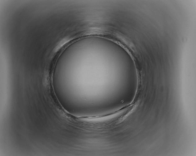 X0000110681453200906191355