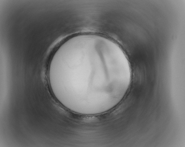 X0000110681454200906191355