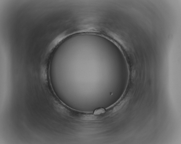 X0000110681455200906191355