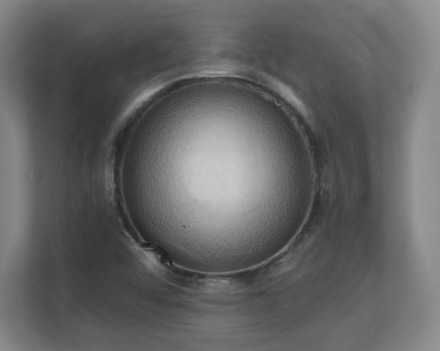 X0000110681456200906191355