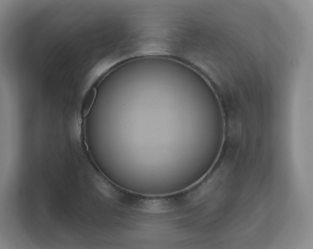X0000110681461200906191355