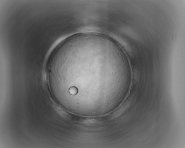 X0000110681462200906191355