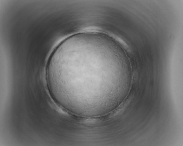 X0000110681470200906191355