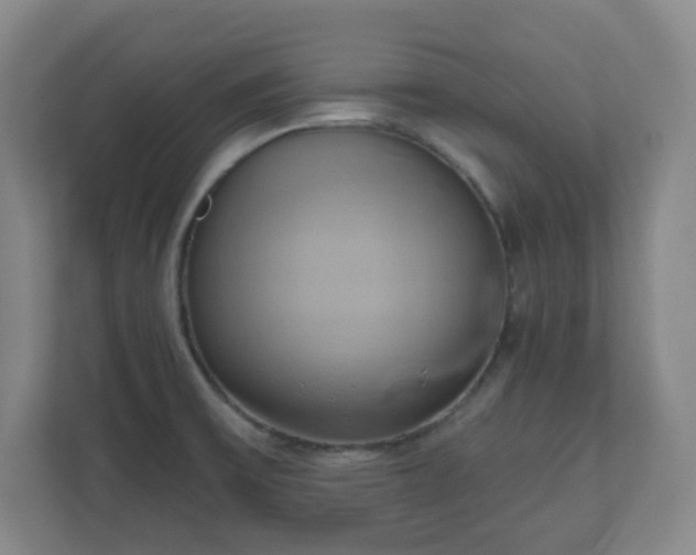X0000110681475200906191355