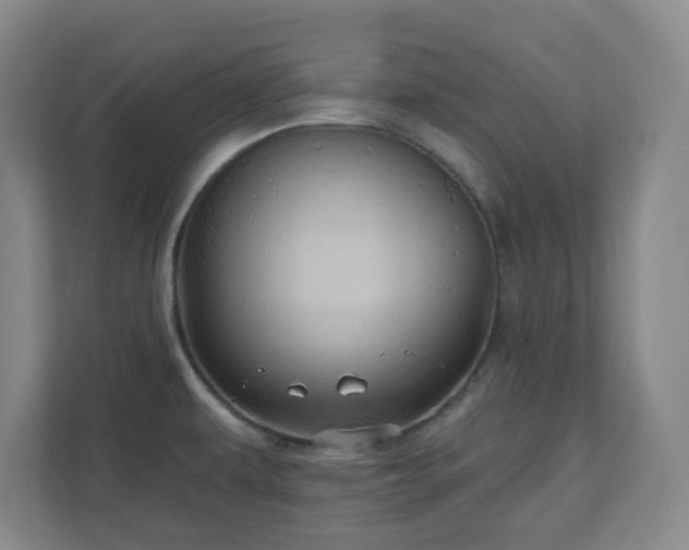 X0000110681479200906191355