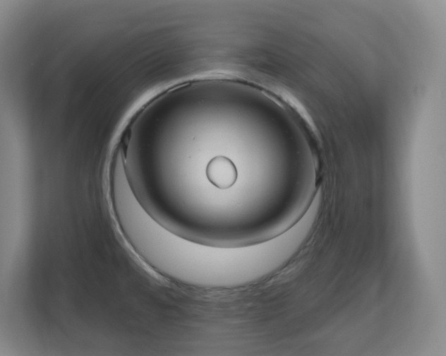 X0000110681480200906191355
