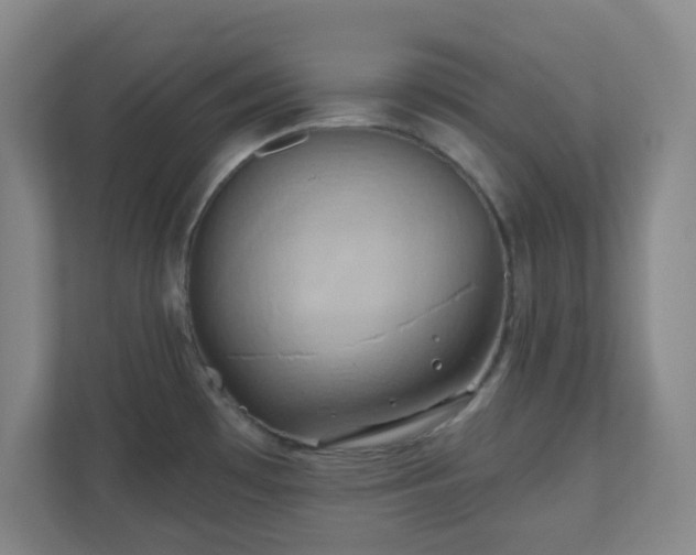 X0000110681481200906191355
