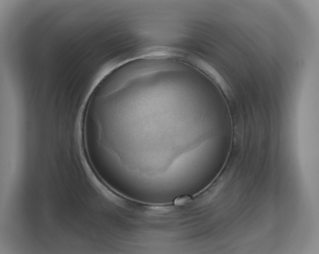 X0000110681483200906191355