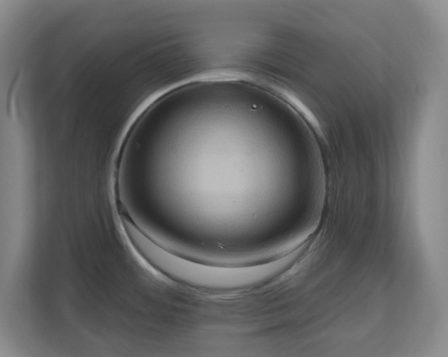 X0000110681484200906191355