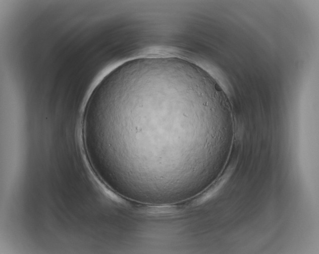 X0000110681486200906191355