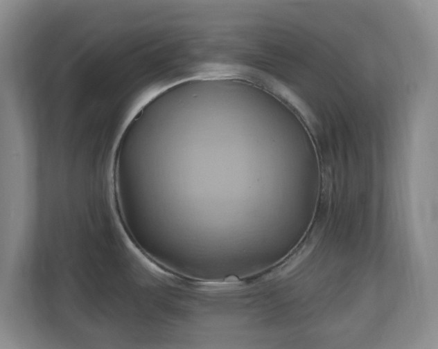 X0000110681487200906191355