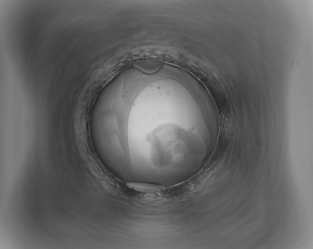 X0000110681489200906191354