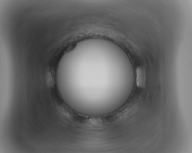 X0000110681491200906191354