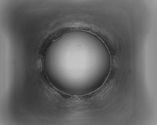 X0000110681493200906191354