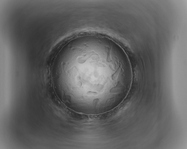 X0000110681494200906191354