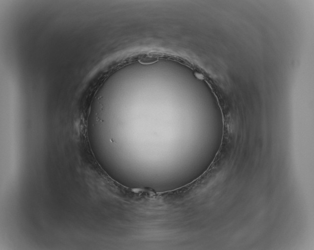 X0000110681495200906191354