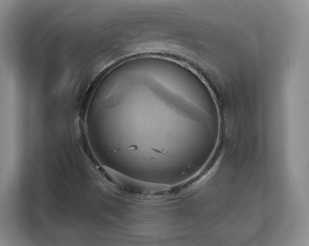 X0000110681497200906191354