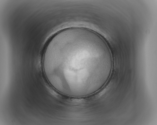 X0000110681498200906191354