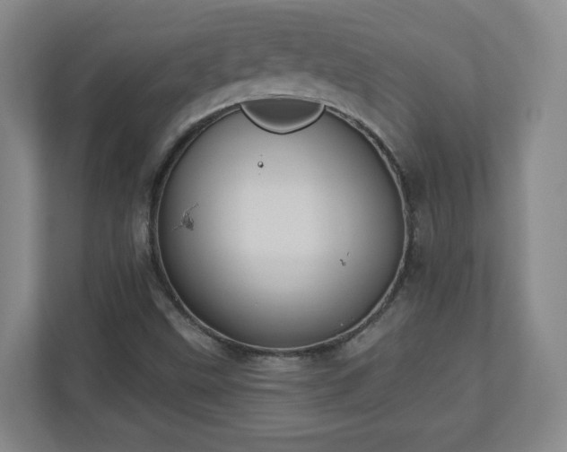 X0000110681499200906191354