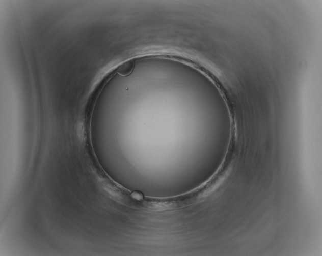 X0000110681501200906191354