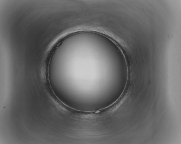 X0000110681502200906191354