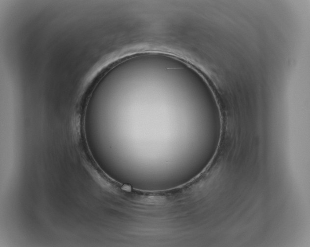 X0000110681503200906191354
