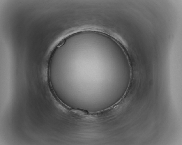 X0000110681504200906191354