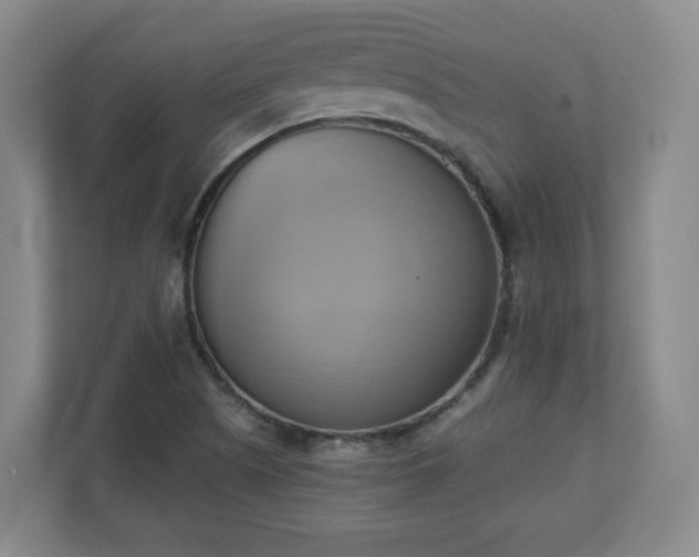 X0000110681505200906191354