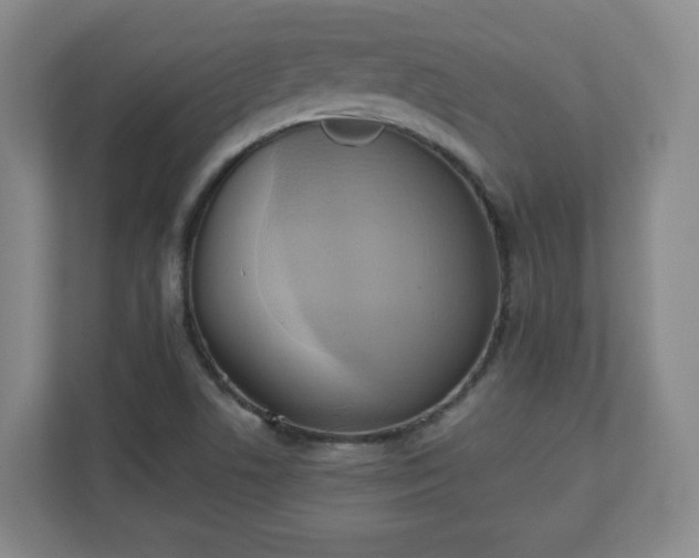 X0000110681506200906191354