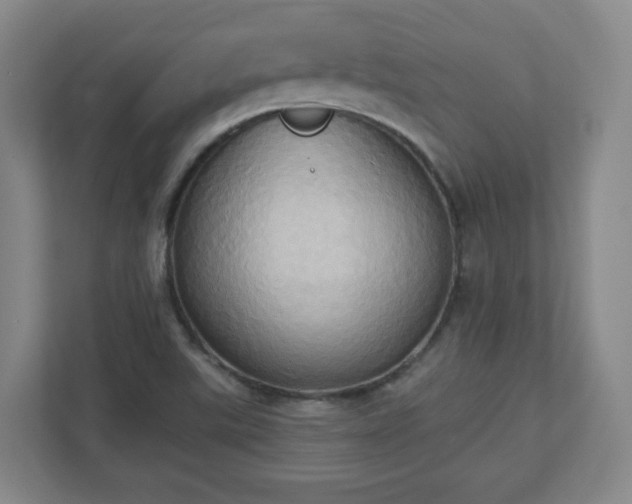 X0000110681507200906191354