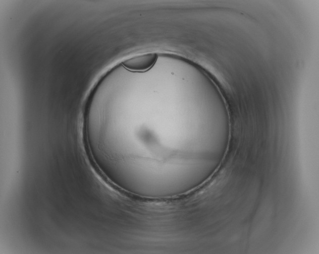 X0000110681508200906191355