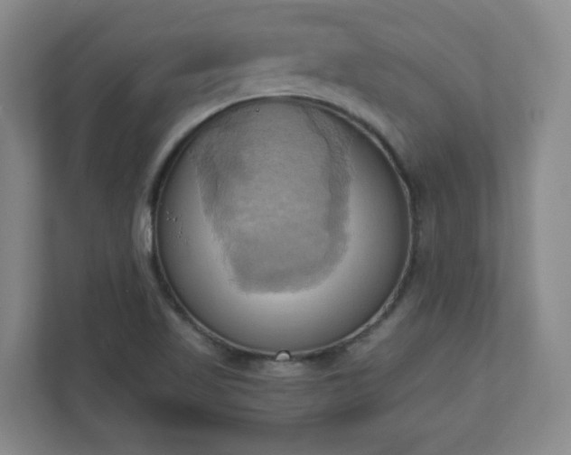 X0000110681509200906191355