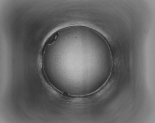 X0000110681510200906191355