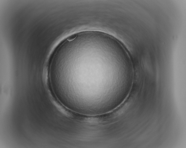 X0000110681511200906191355